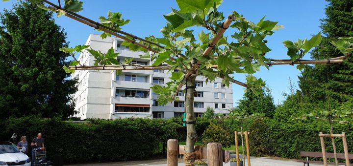 6173b182-d955-41ed-a1b0-39d031f9109b-1